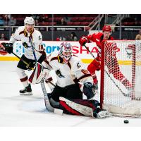 Cleveland Monsters goaltender Matiss Kivlenieks