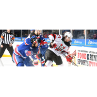 Binghamton Devils right wing Marian Studenic vs. the Rochester Americans