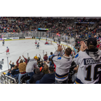 Fans cheer on their team during a Sioux Falls Stampede game