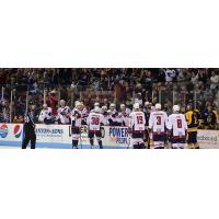 South Carolina Stingrays in action