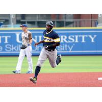 York Revolution outfielder Welington Dotel