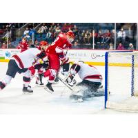 Allen Americans forward Tyler Sheehy