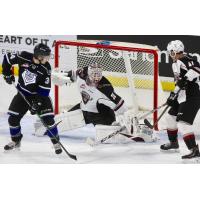 Vancouver Giants goaltender David Tendeck