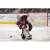 Vancouver Giants goaltender David Tendeck