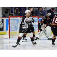 Vancouver Giants  forward Justin Sourdif