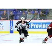 Vancouver Giants forward Cole Shepard