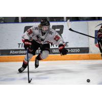 Aberdeen Wings forward Natan Vertes