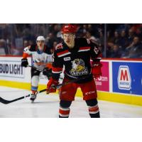 Grand Rapids Griffins forward Dominik Shine