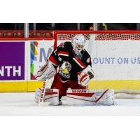 Grand Rapids Griffins goaltender Pat Nagle