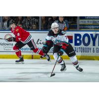 Kelowna Rockets defenceman Conner McDonald