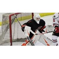 Danville Dashers goaltender Jesse Gordichuk