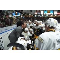 Sarnia Sting Co-Owner David Legwand