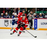 Belleville Senators forward Josh Norris