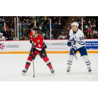 Belleville Senators forward Josh Norris (left)