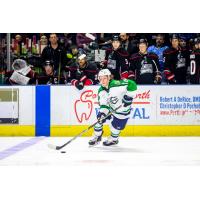 Maine Mariners forward Dillan Fox