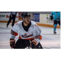 Danville Dashers defenseman Troy Murray