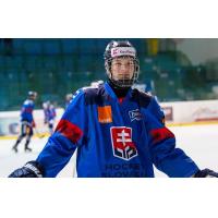 Slovakian Forward Alex Geci