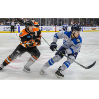 Jacksonville Icemen forward Ian McKinnon (right)