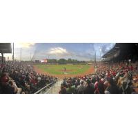 A crowd at Segra Stadium, home of the Fayetteville Woodpeckers