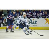 Pensacola Ice Flyers assistant captain Brett D'Andrea