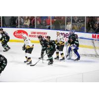 Utah Grizzlies goaltender Martin Ouellette (far right)