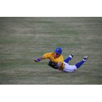 Sioux Falls Canaries make a diving effort in the outfield