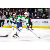 Maine Mariners forward Michael McNicholas