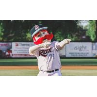 St. Cloud Rox mascot Chisel