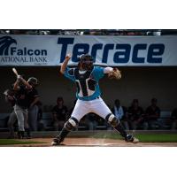 St. Cloud Rox catcher Luke Roskam