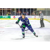 Maine Mariners defenseman Brandon Crawley