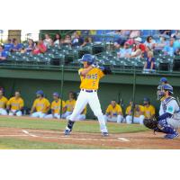 Andrew Ely of the Sioux Falls Canaries at the plate