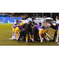 San Jose Earthquakes celebrate a wild win over Vancouver Whitecaps FC