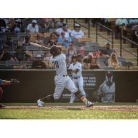 Milwaukee Milkmen outfielder Adam Brett Walker