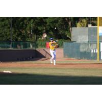 Sioux Falls Canaries third baseman Ryan Long