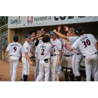 St. Cloud Rox celebrate in the dugout