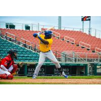 Jabari Henry of the Sioux Falls Canaries at the plate