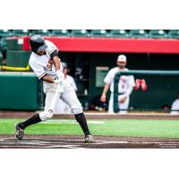 Joliet Slammers at the plate