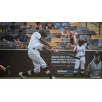 David Washington takes a big swing for the Milwaukee Milkmen