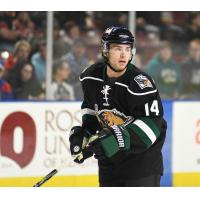 Utah Grizzlies defenseman JC Brassard