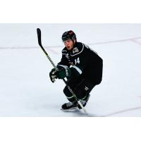 Utah Grizzlies defenseman JC Brassard