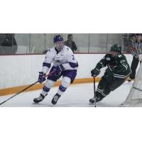 Defenseman Ryan Cook with Niagara University