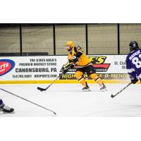 Wheeling Nailers defenseman Jeremy Beaudry