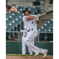 Joey Rose at bat for the Somerset Patriots