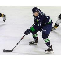 Maine Mariners forward Nick Master