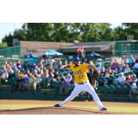 Sioux Falls Canaries pitcher Tyler Herron