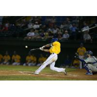 Damek Tomscha at bat for the Sioux Falls Canaries