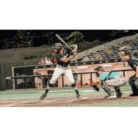 Milwaukee Milkmen at the plate