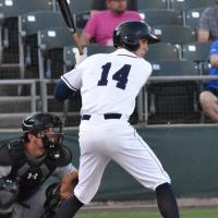 Shayne Fontana at bat for the Somerset Patriots