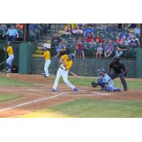 Mike Hart at bat for the Sioux Falls Canaries