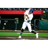 Joliet Slammers at the plate